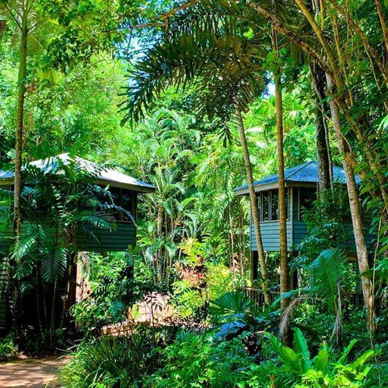 Fenrtree Rainforest Lodge accommodation