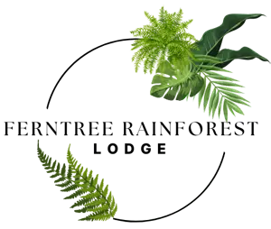 Ferntree Rainforest Lodge