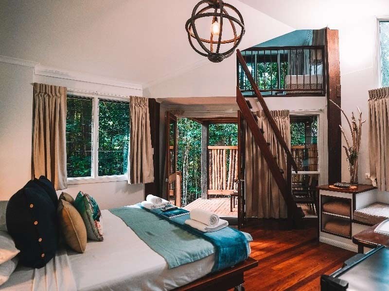 Ferntrees Accommodation Cape Tribulation