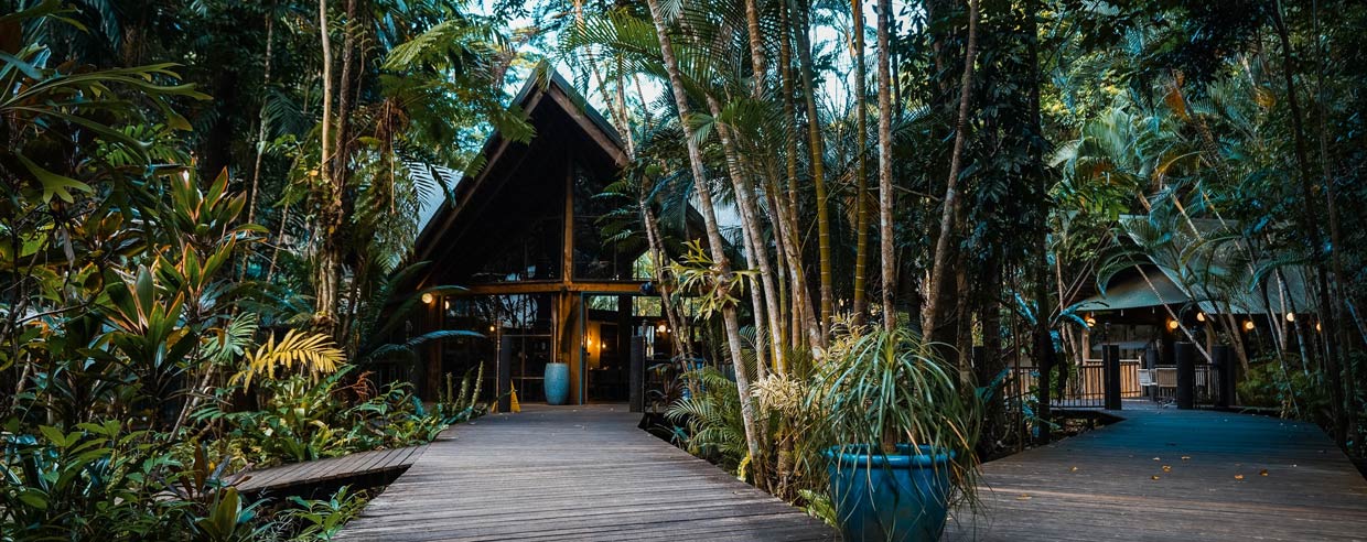 Contact Ferntree Rainforest Lodge