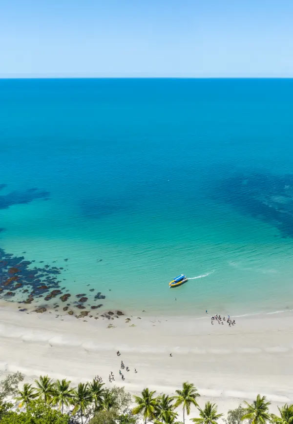 Coral Sea Cape Tribulation