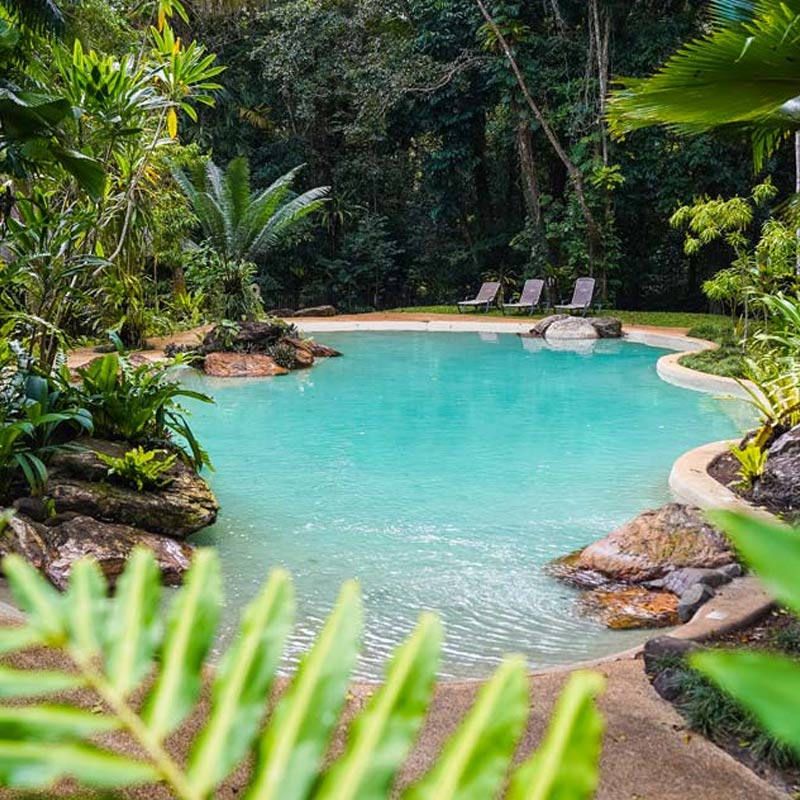 Ferntree Daintree Rainforest-Lodge